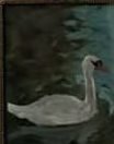 Oil painting of a white swan on dark water